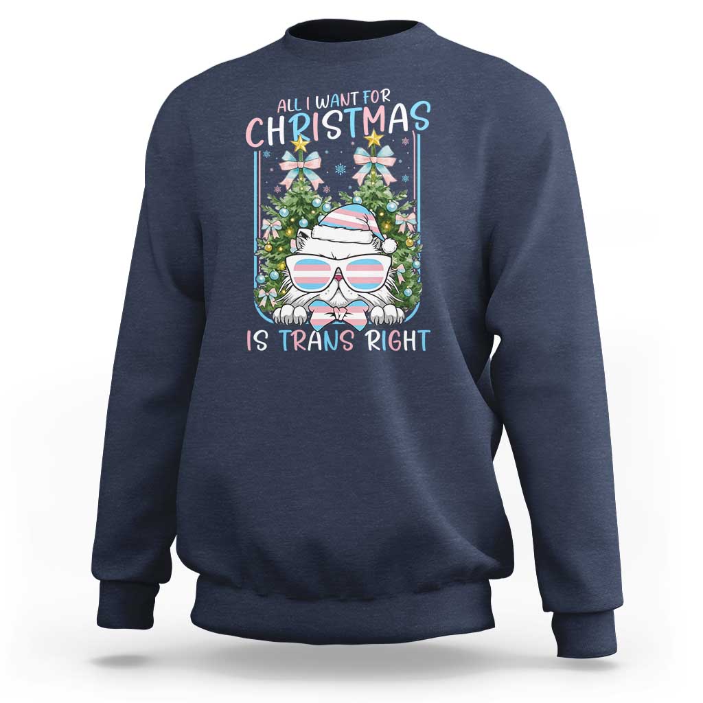 Funny Santa Cat Trans Pride Sweatshirt All I Want For Christmas Is Trans Rights - Wonder Print Shop