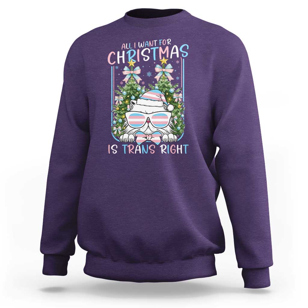 Funny Santa Cat Trans Pride Sweatshirt All I Want For Christmas Is Trans Rights - Wonder Print Shop