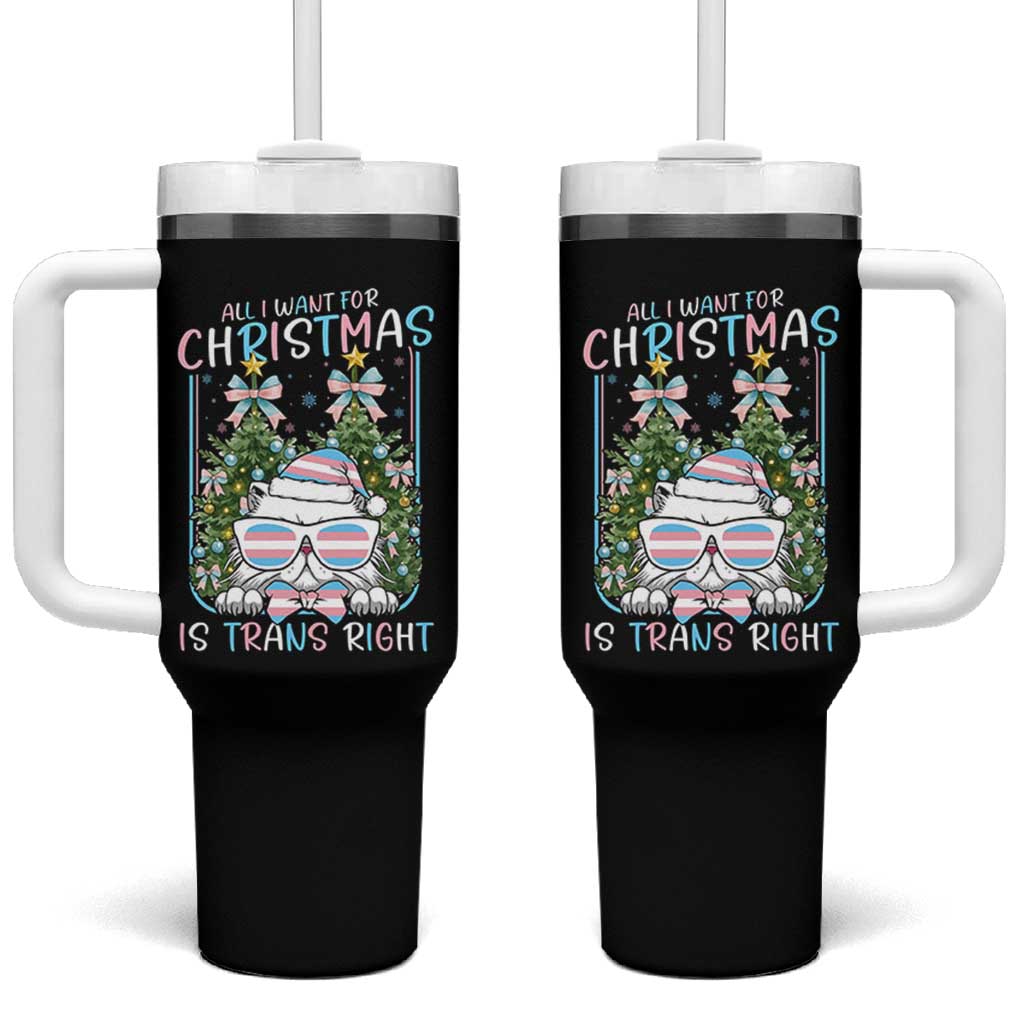 Funny Santa Cat Trans Pride Tumbler With Handle All I Want For Christmas Is Trans Rights - Wonder Print Shop