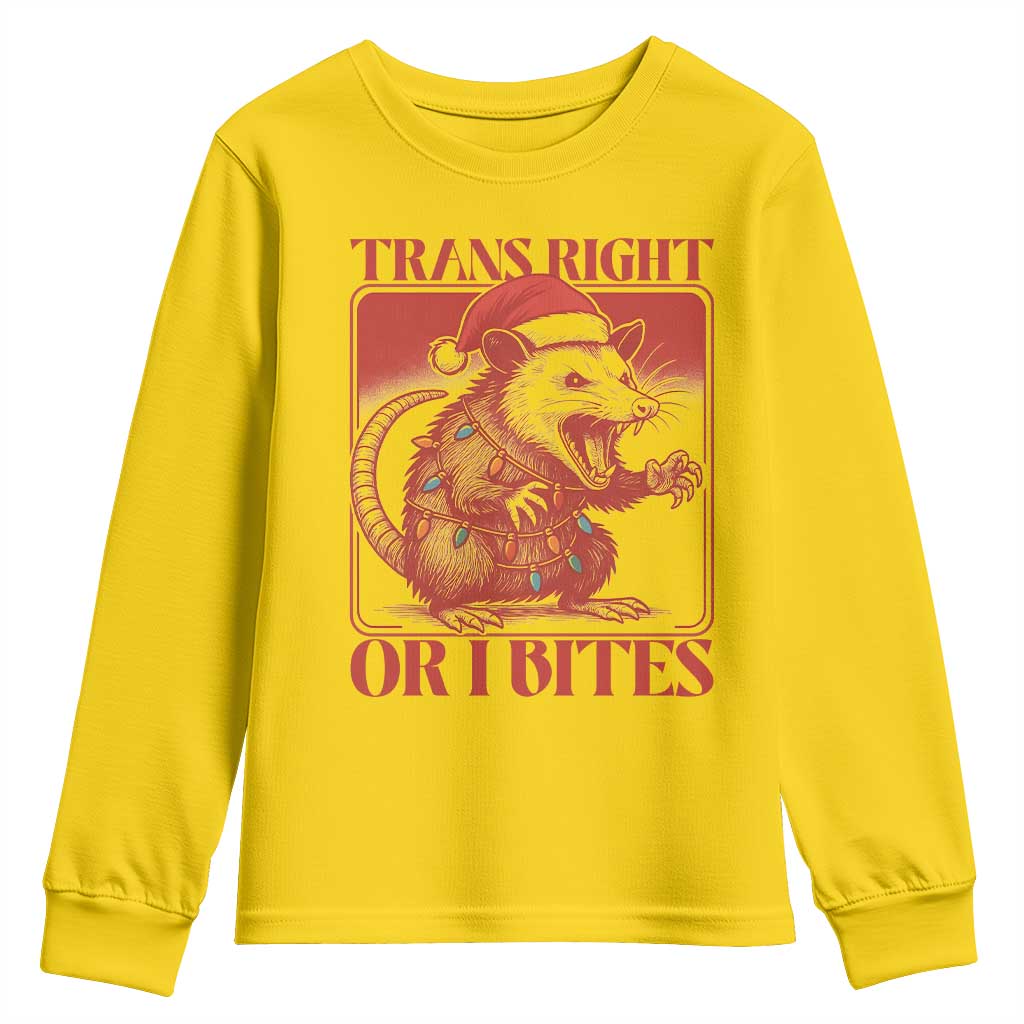 Funny Fierce Opossum Santa Youth Sweatshirt Trans Right Or I Bites Christmas Gift - Wonder Print Shop