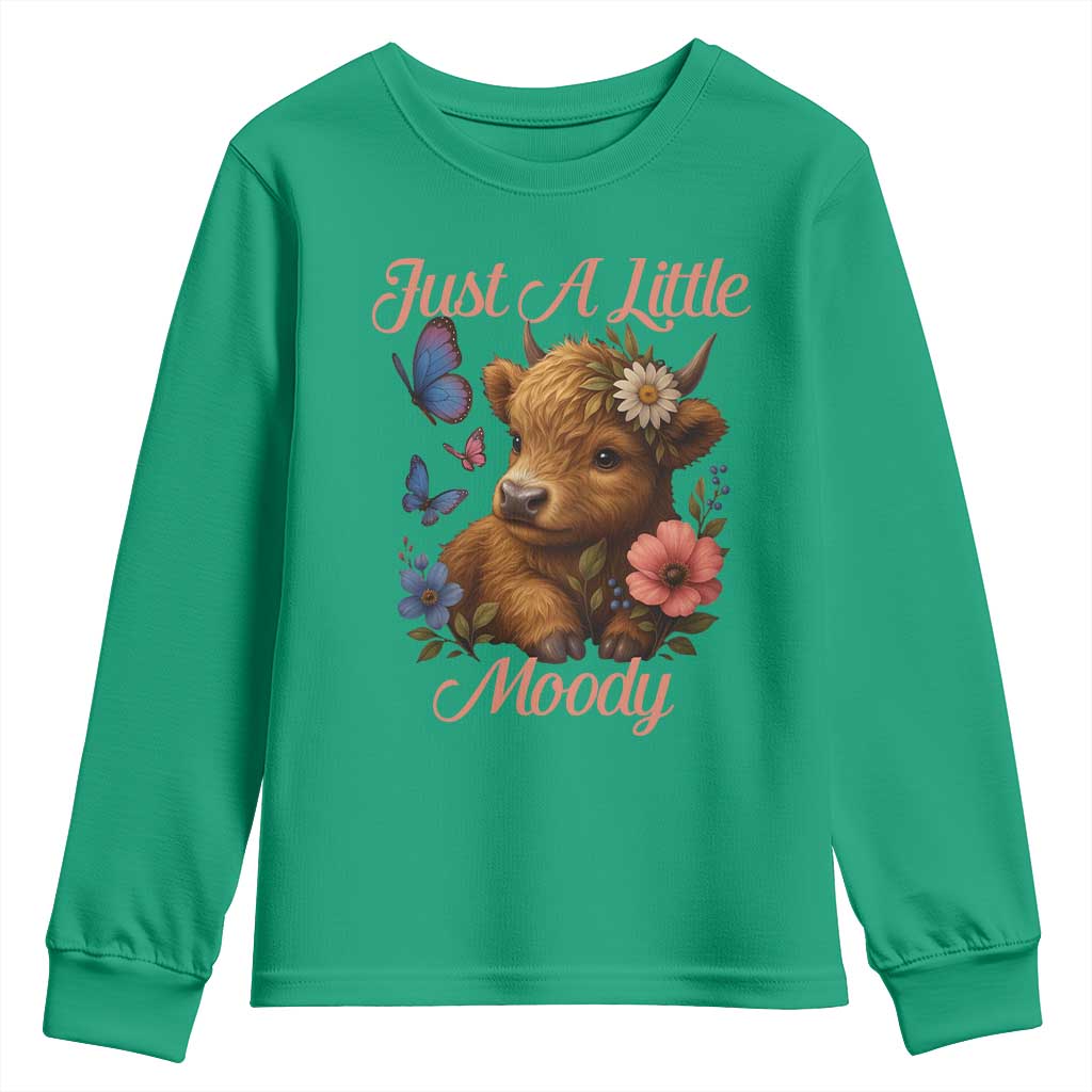 Just A Little Moody Youth Sweatshirt Funny Sarcasm Highland Cow - Wonder Print Shop