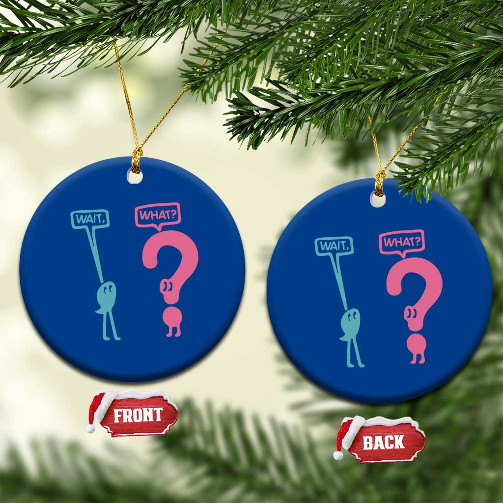 Wait What Grammar English Teacher Ceramic Ornament Funny Punctuation Gift
