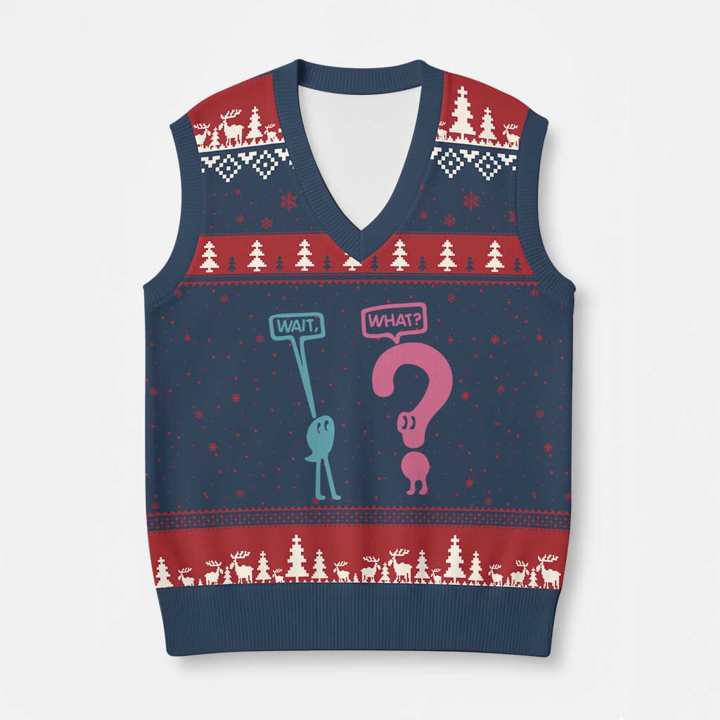 Wait What Grammar English Teacher V-Neck Knit Sweater Vest Funny Punctuation Gift