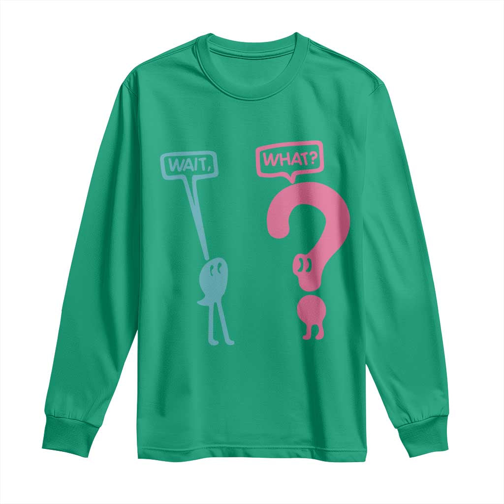 Wait What Grammar English Teacher Long Sleeve Shirt Funny Punctuation Gift