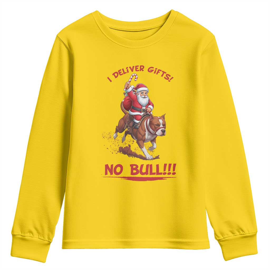 Funny Santa Pitbull Christmas Youth Sweatshirt I Deliver Gifts No Bull - Wonder Print Shop
