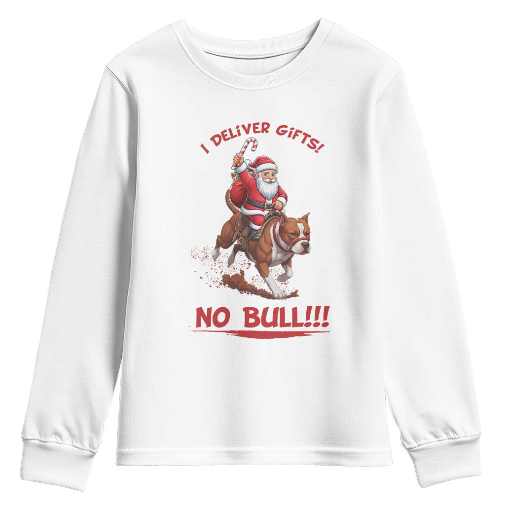 Funny Santa Pitbull Christmas Youth Sweatshirt I Deliver Gifts No Bull - Wonder Print Shop