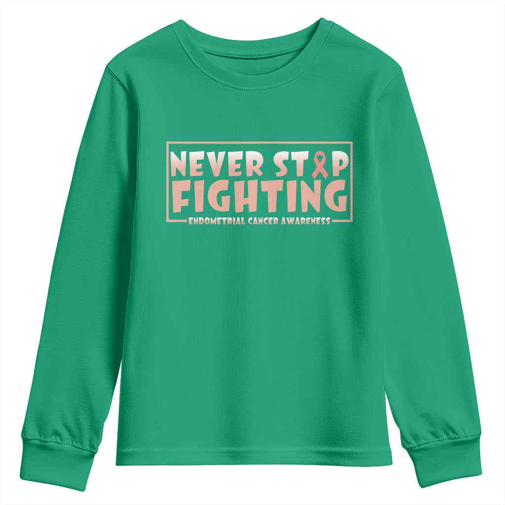Endometrial Cancer Fighter Youth Sweatshirt Never Stop Fighting Peach Ribbon