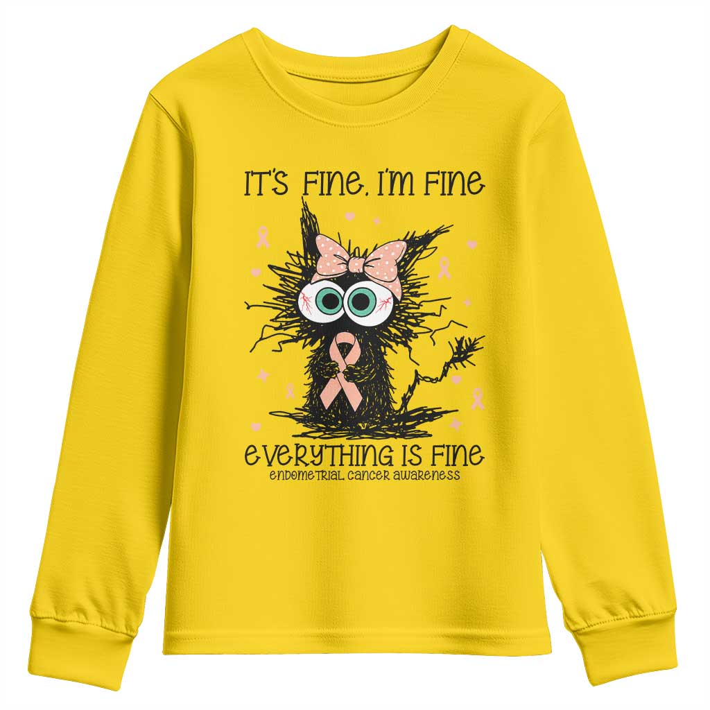 Funny Black Cat Endometrial Cancer Awareness Youth Sweatshirt Its Fine Im Fine Everything Is Fine