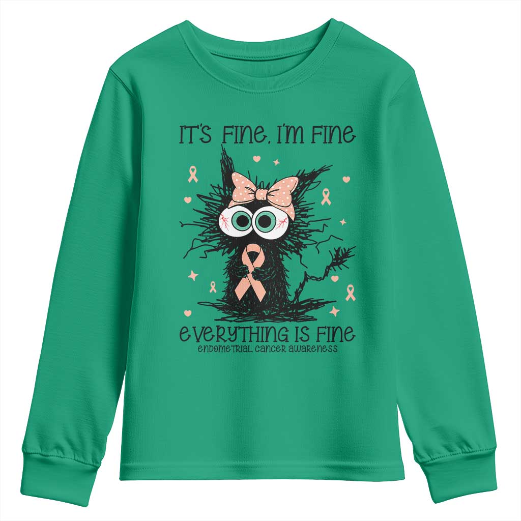 Funny Black Cat Endometrial Cancer Awareness Youth Sweatshirt Its Fine Im Fine Everything Is Fine