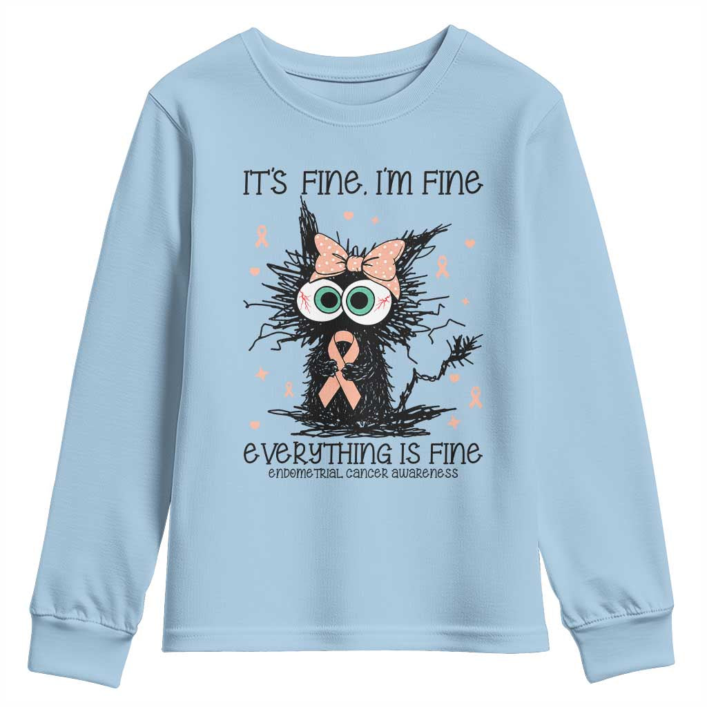 Funny Black Cat Endometrial Cancer Awareness Youth Sweatshirt Its Fine Im Fine Everything Is Fine