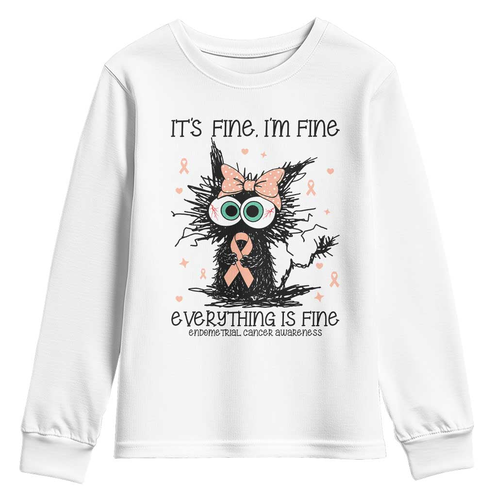 Funny Black Cat Endometrial Cancer Awareness Youth Sweatshirt Its Fine Im Fine Everything Is Fine
