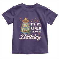 Funny Cinco De Mayo Birthday Toddler T Shirt Mexican Fiesta Theme Party