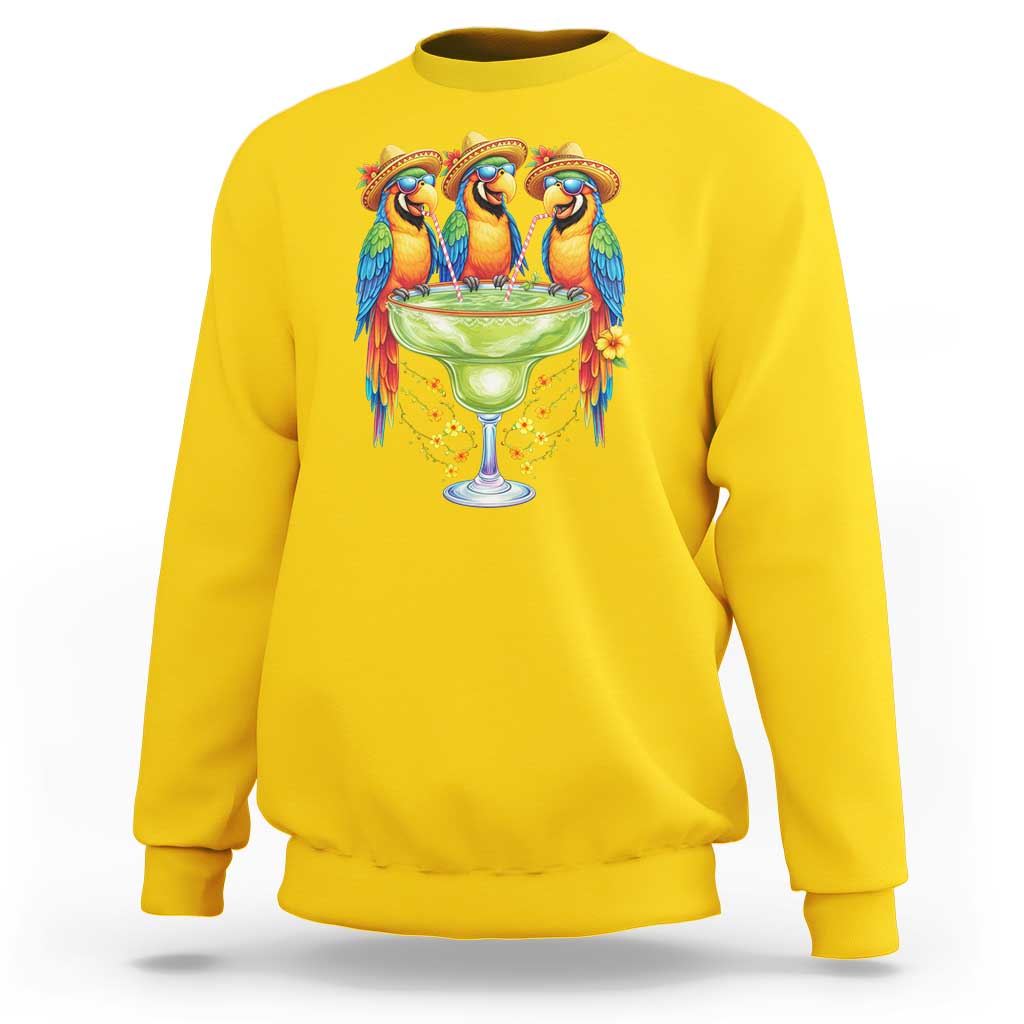 Cinco De Mayo Summer Party Sweatshirt Funny Parrots Drinking Margaritas