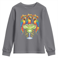 Cinco De Mayo Summer Party Youth Sweatshirt Funny Parrots Drinking Margaritas