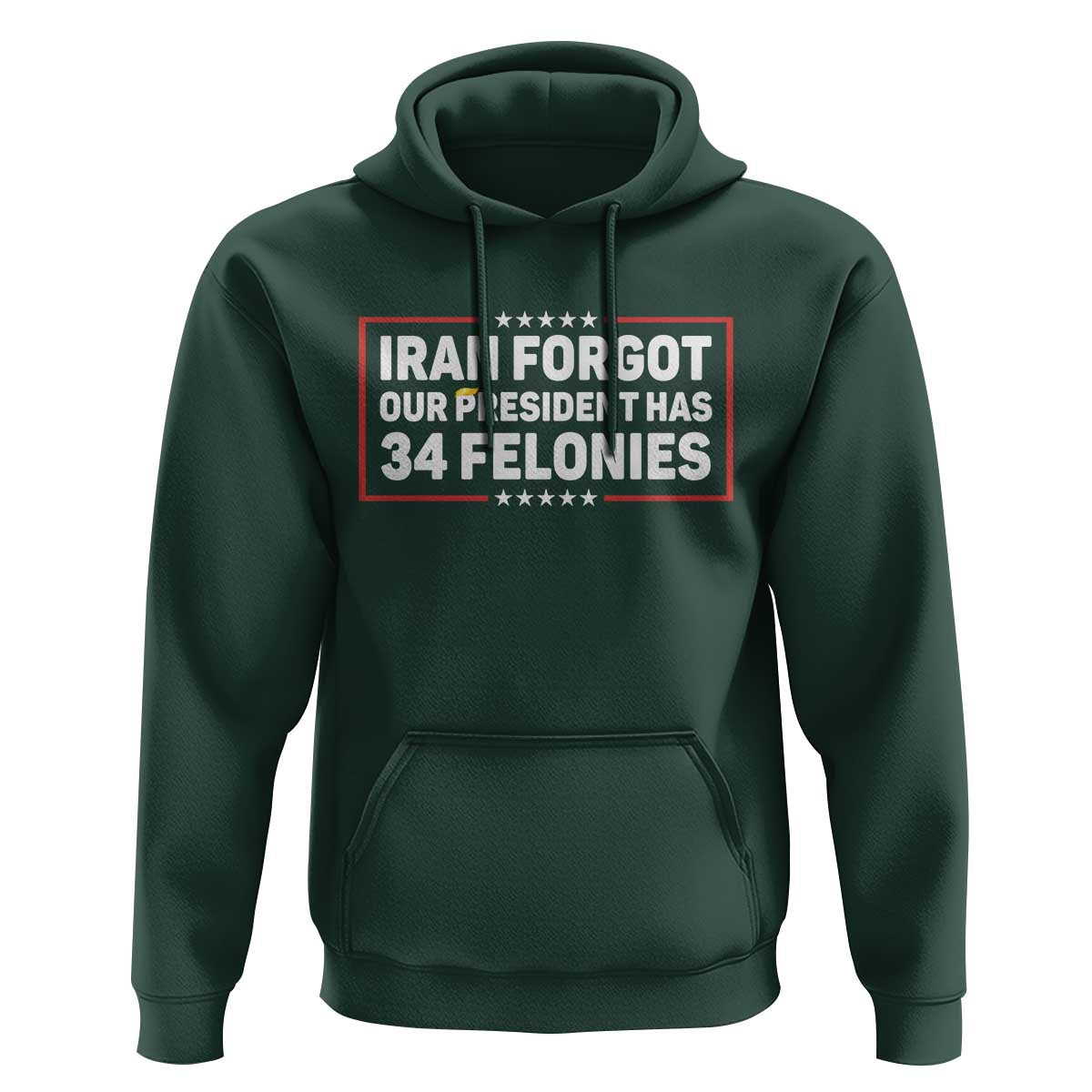 Iran Forgot Our President Has 34 Felonies Hoodie Political Protest