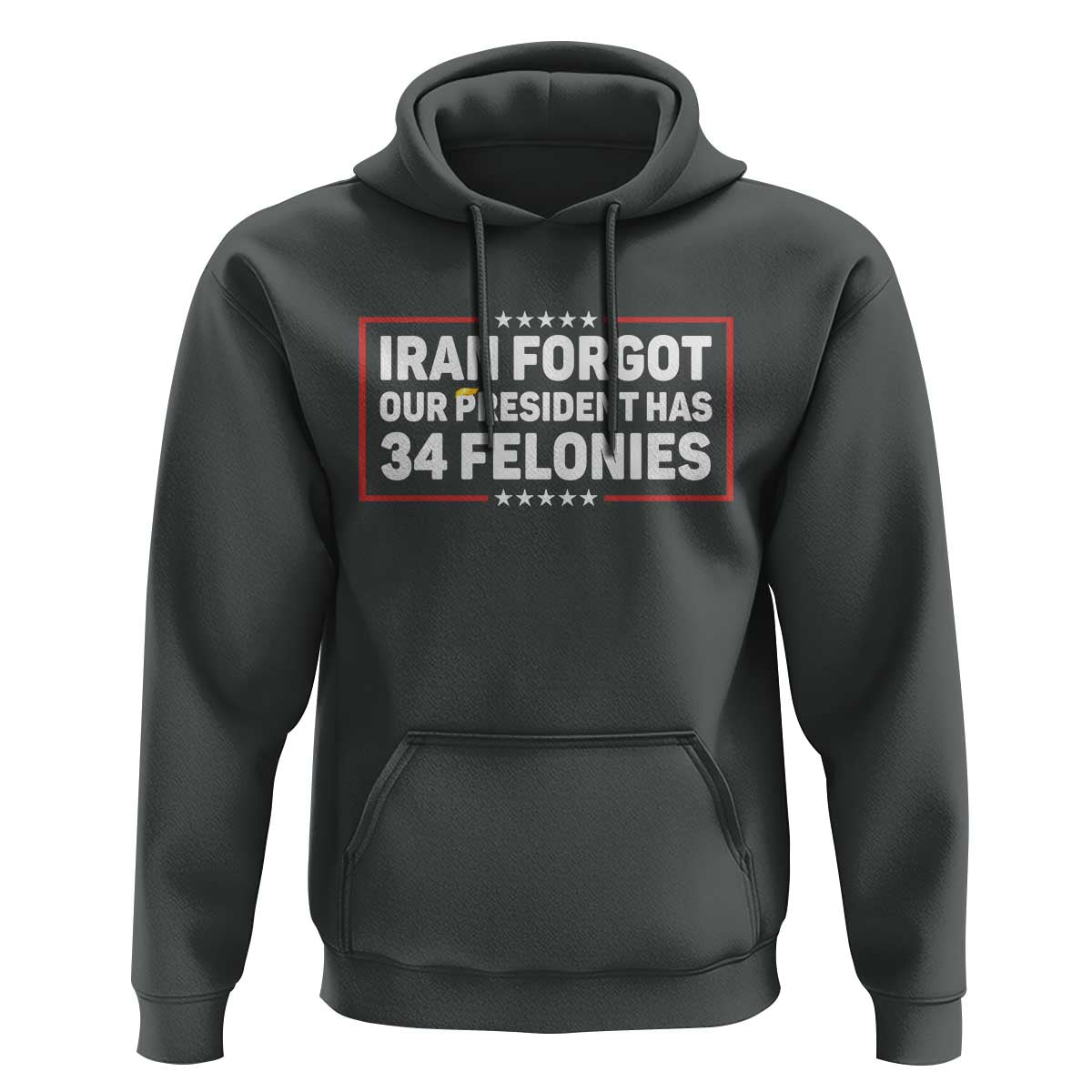 Iran Forgot Our President Has 34 Felonies Hoodie Political Protest