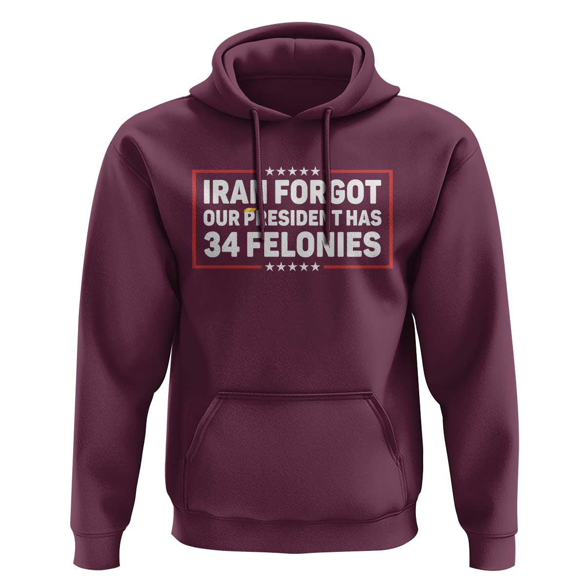 Iran Forgot Our President Has 34 Felonies Hoodie Political Protest