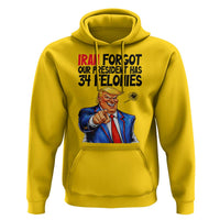 Iran Forgot Our President Has 34 Felonies Hoodie Funny Political Satire