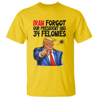 Iran Forgot Our President Has 34 Felonies T Shirt Funny Political Satire