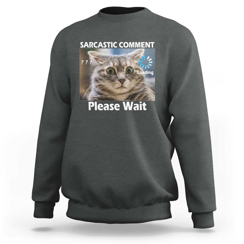 Sarcastic Comment Loading Please Wait Sweatshirt Funny Cat Meme Gift - Wonder Print Shop
