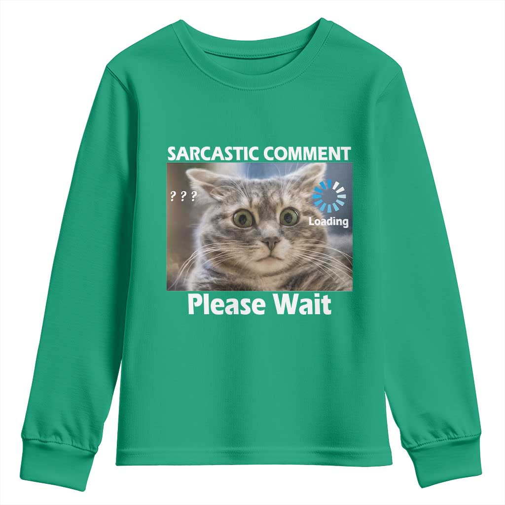 Sarcastic Comment Loading Please Wait Youth Sweatshirt Funny Cat Meme Gift - Wonder Print Shop