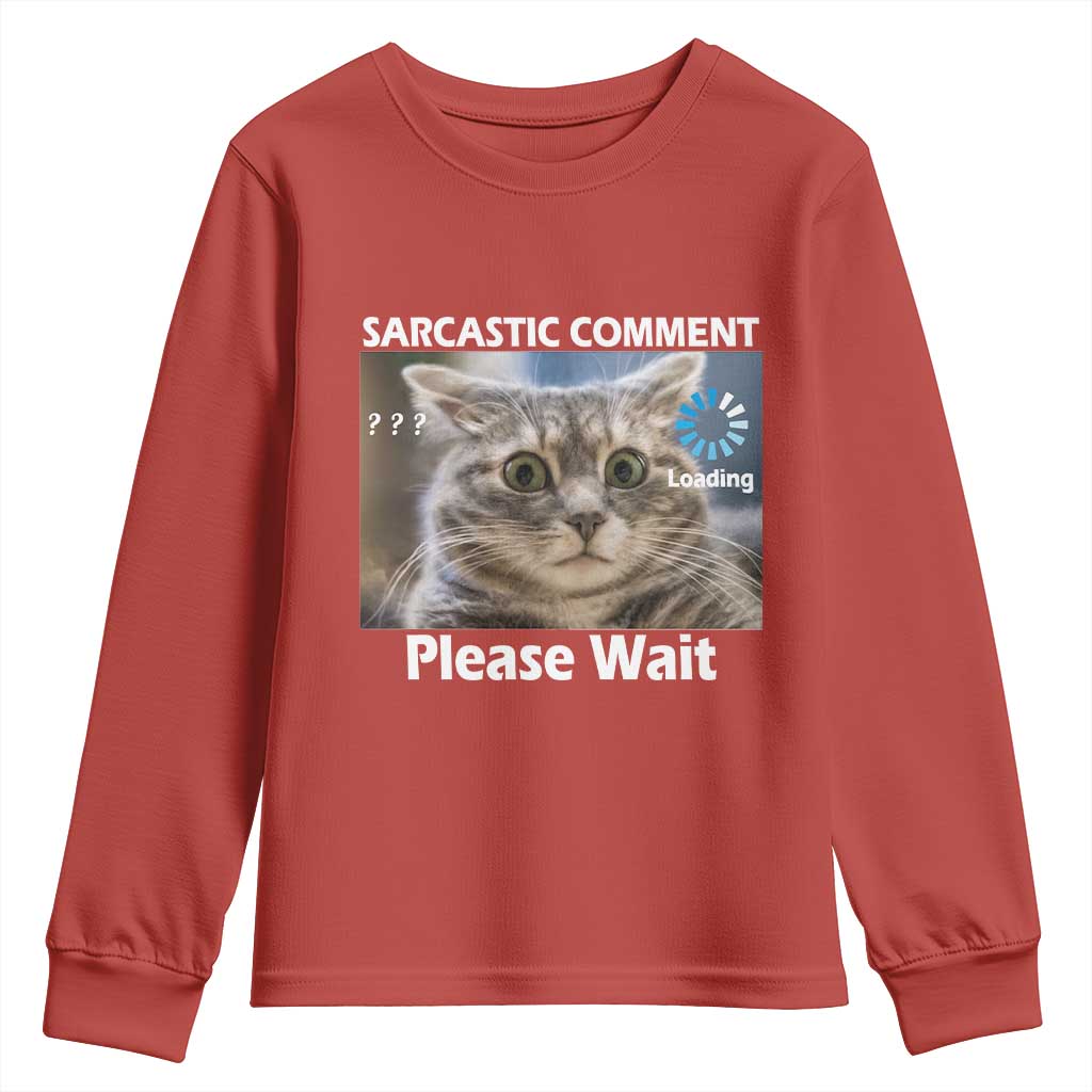 Sarcastic Comment Loading Please Wait Youth Sweatshirt Funny Cat Meme Gift - Wonder Print Shop