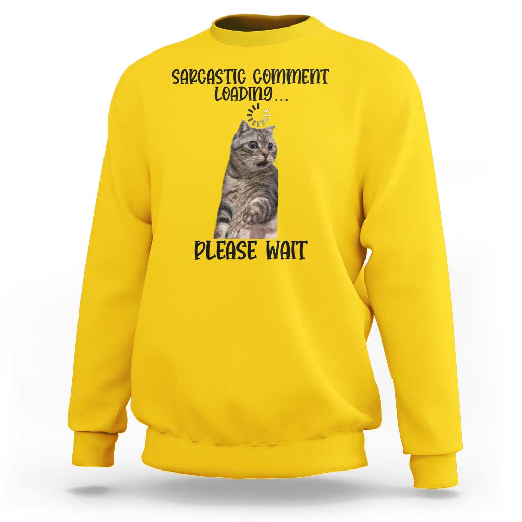 Funny Cat Meme Sarcastic Sweatshirt Sarcastic Comment Loading - Wonder Print Shop