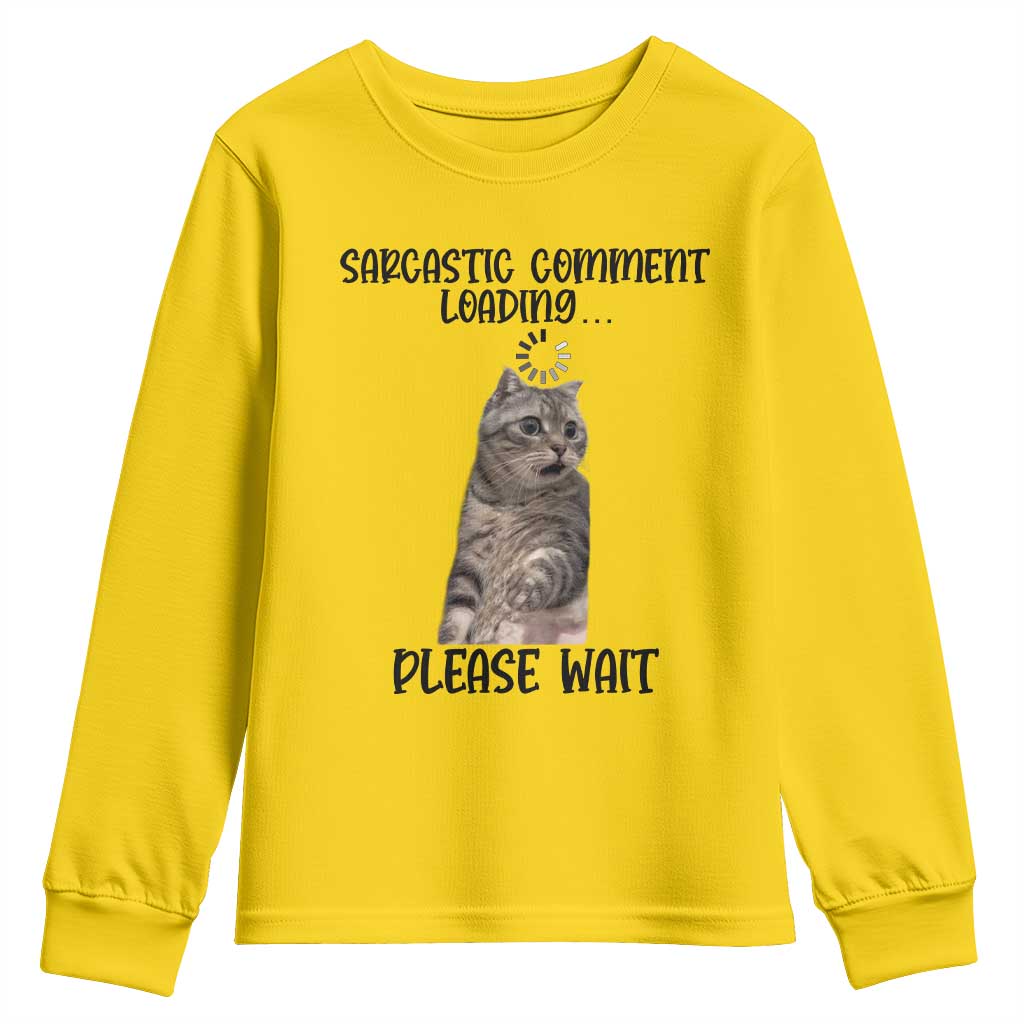 Funny Cat Meme Sarcastic Youth Sweatshirt Sarcastic Comment Loading - Wonder Print Shop
