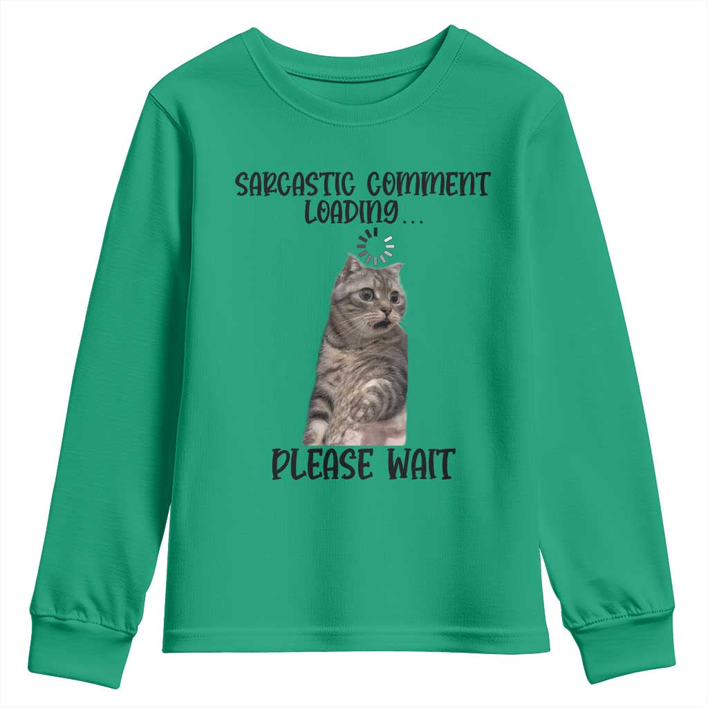 Funny Cat Meme Sarcastic Youth Sweatshirt Sarcastic Comment Loading - Wonder Print Shop