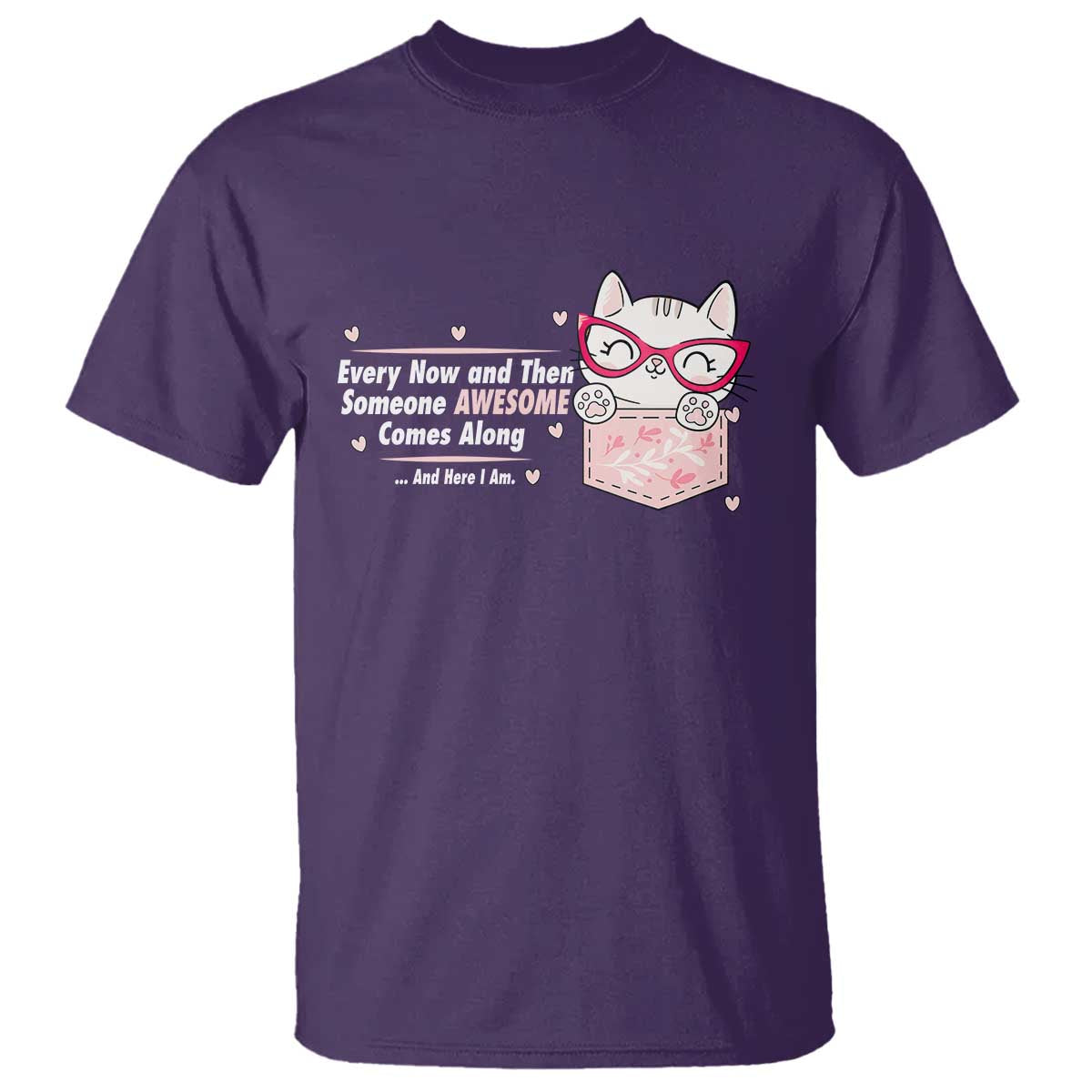 Funny Sarcastic T Shirt Every Now And Then Someone Awsome - Wonder Print Shop
