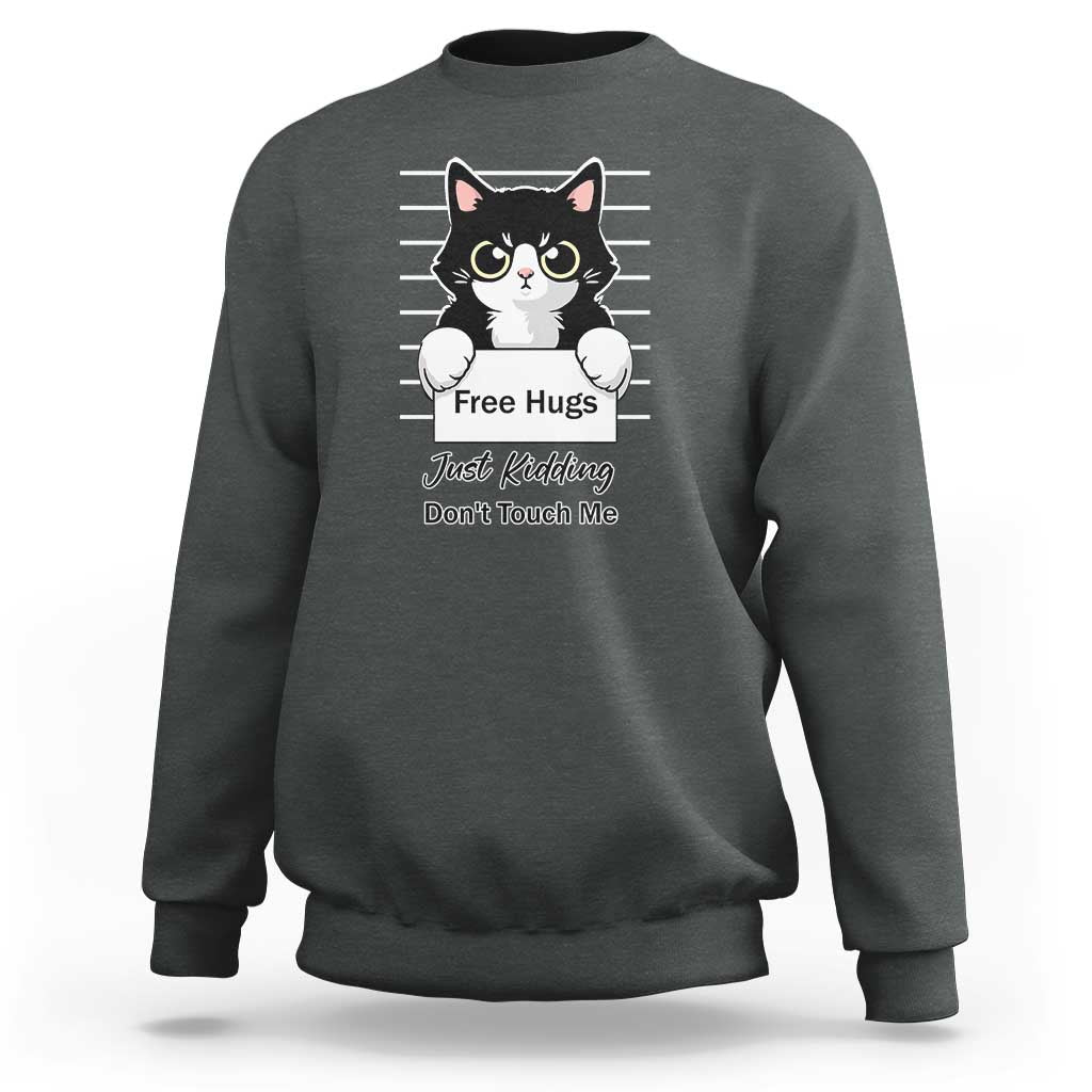 Funny Black Cat Quote Sweatshirt Free Hugs Just Kidding Do Not Touch Me - Wonder Print Shop