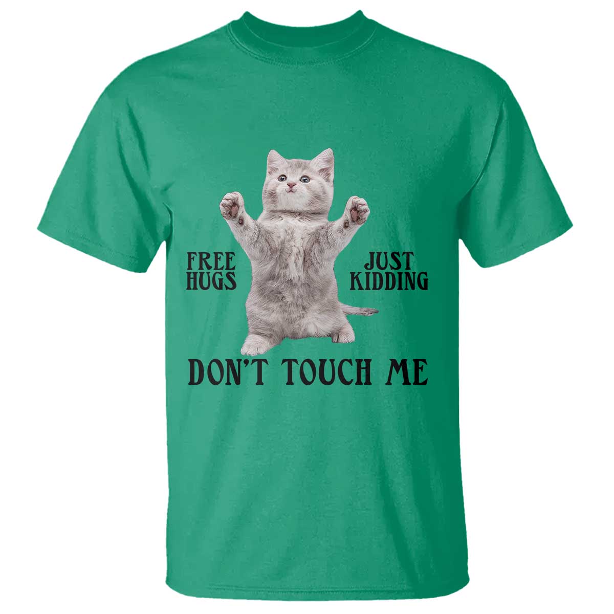 Free Hugs Do Not Touch Me T Shirt Funny Cat Meme - Wonder Print Shop