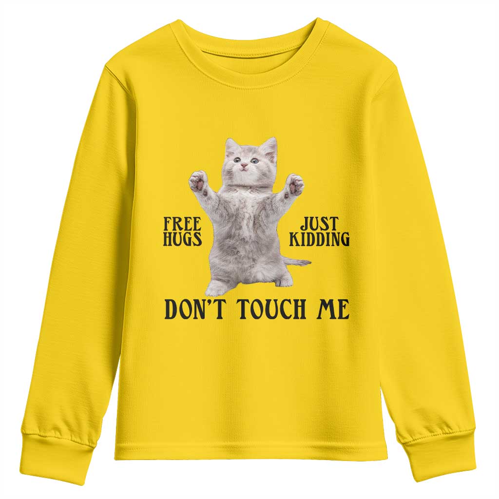 Free Hugs Do Not Touch Me Youth Sweatshirt Funny Cat Meme - Wonder Print Shop