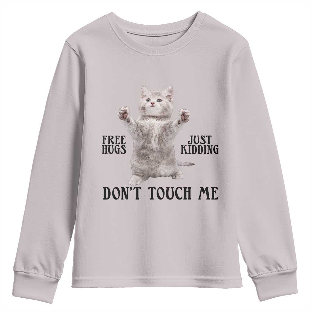Free Hugs Do Not Touch Me Youth Sweatshirt Funny Cat Meme - Wonder Print Shop