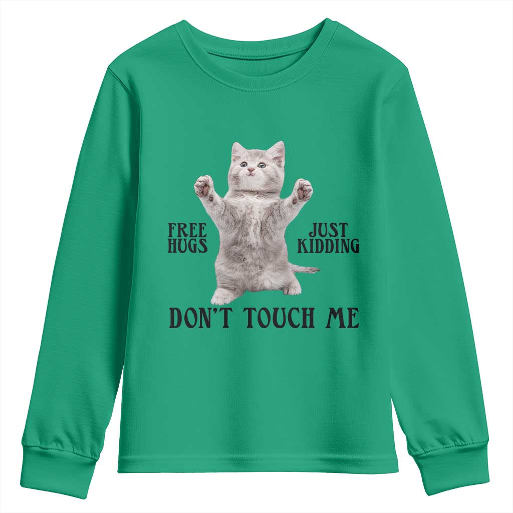 Free Hugs Do Not Touch Me Youth Sweatshirt Funny Cat Meme - Wonder Print Shop