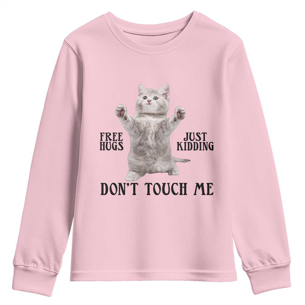 Free Hugs Do Not Touch Me Youth Sweatshirt Funny Cat Meme - Wonder Print Shop