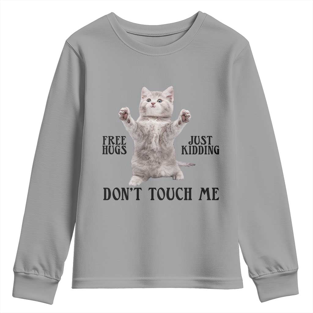 Free Hugs Do Not Touch Me Youth Sweatshirt Funny Cat Meme - Wonder Print Shop