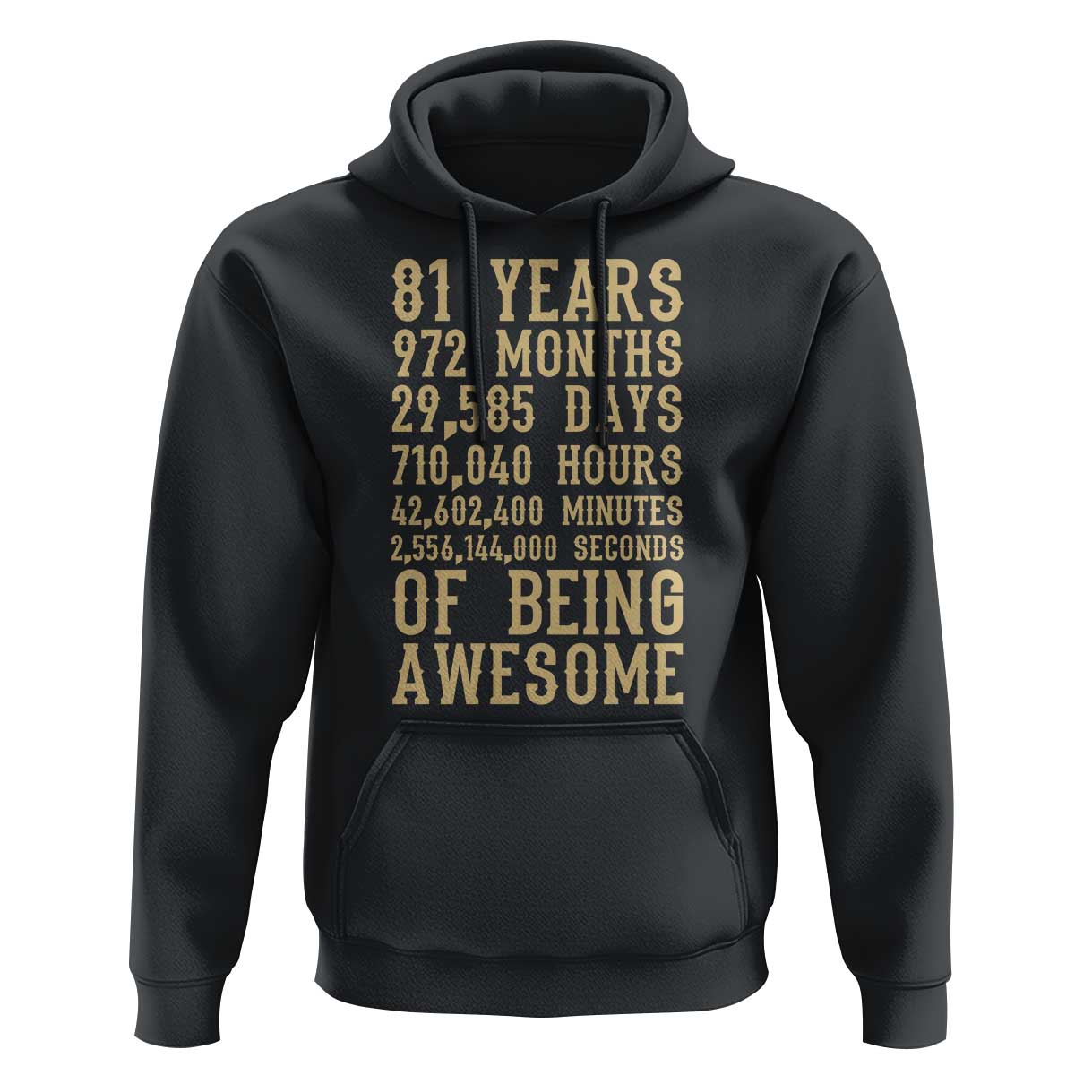 Vintage 81st Birthday Gift Hoodie 81 Years Of Being Awesome