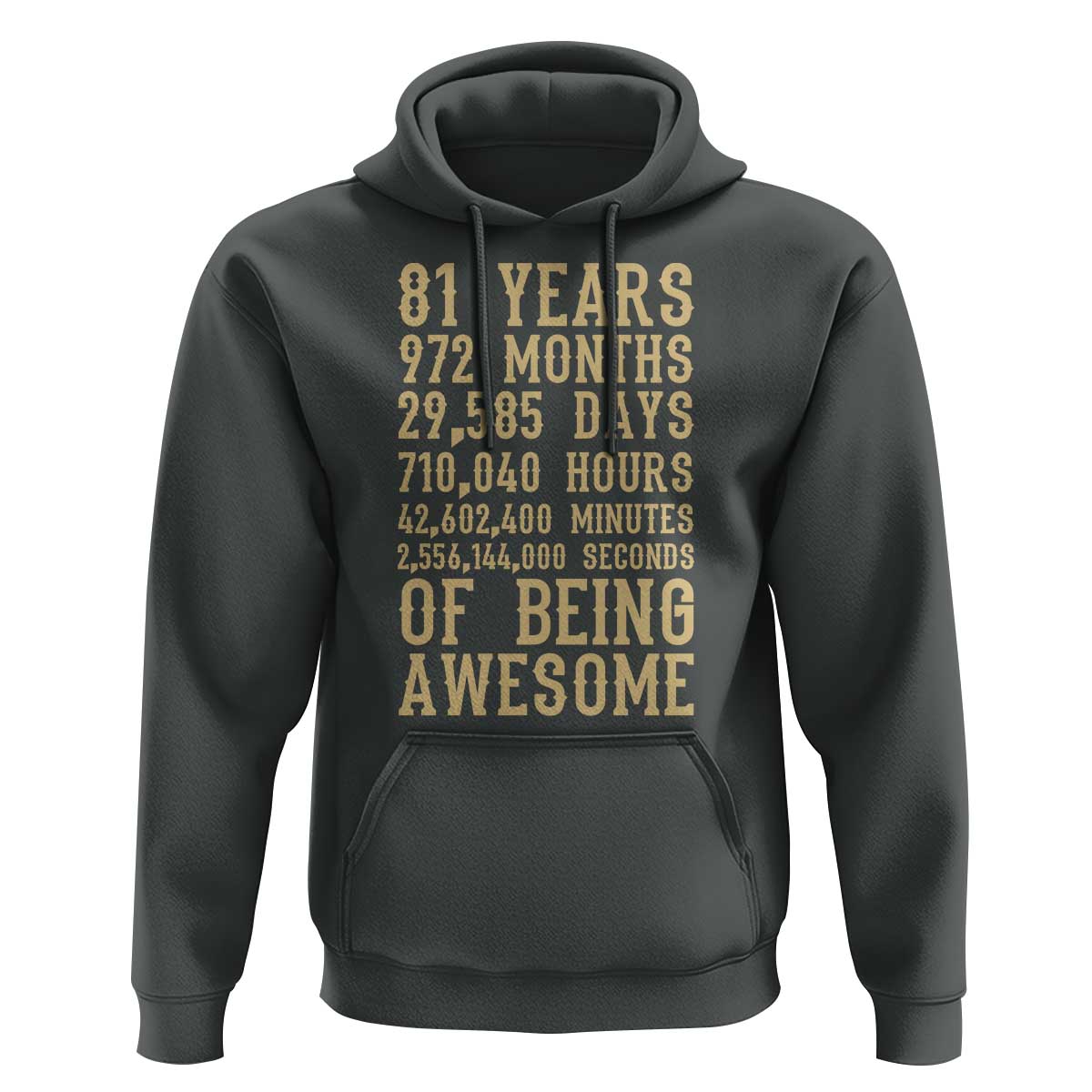 Vintage 81st Birthday Gift Hoodie 81 Years Of Being Awesome