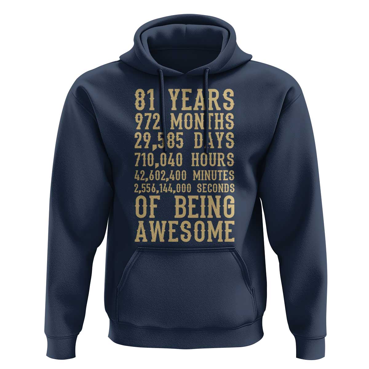 Vintage 81st Birthday Gift Hoodie 81 Years Of Being Awesome