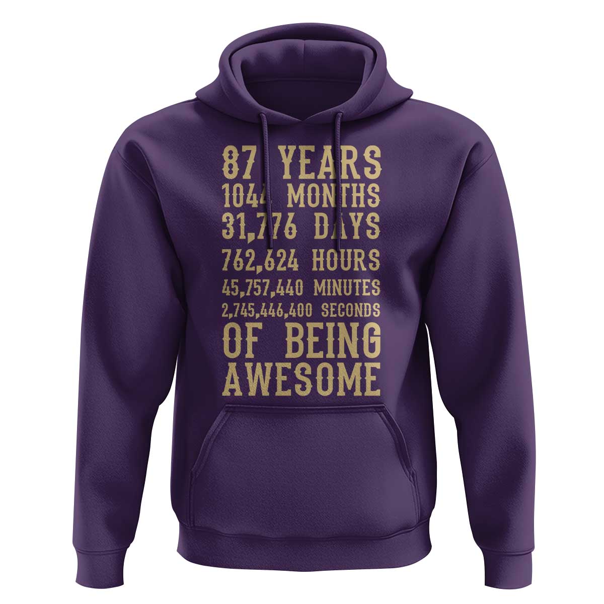 Vintage 87th Birthday Gift Hoodie 87 Years Of Being Awesome