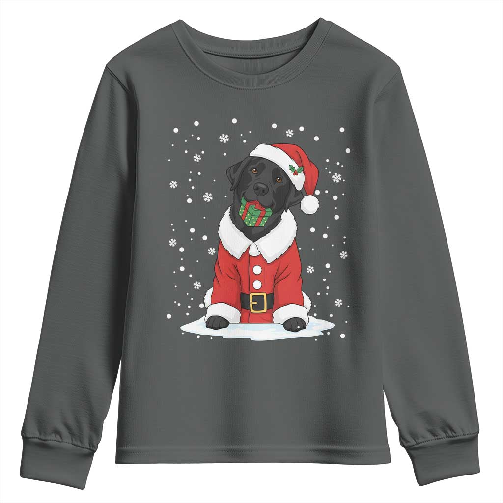Black Labrador Santa Youth Sweatshirt Funny Christmas Dog Lover Gift - Wonder Print Shop