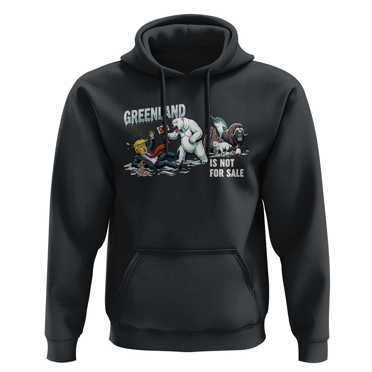 Greenland Not For Sale Hoodie Political Humor Gift