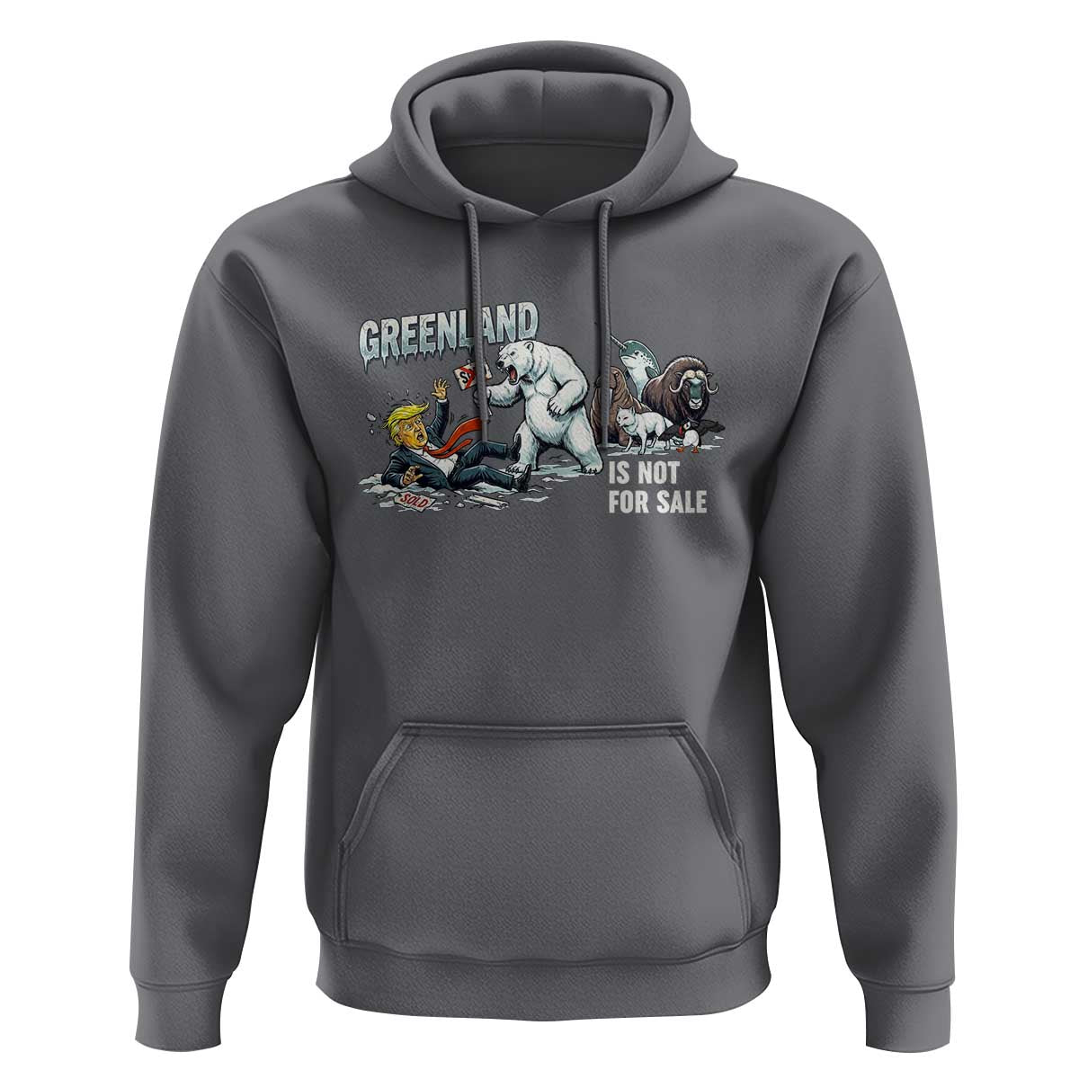 Greenland Not For Sale Hoodie Political Humor Gift