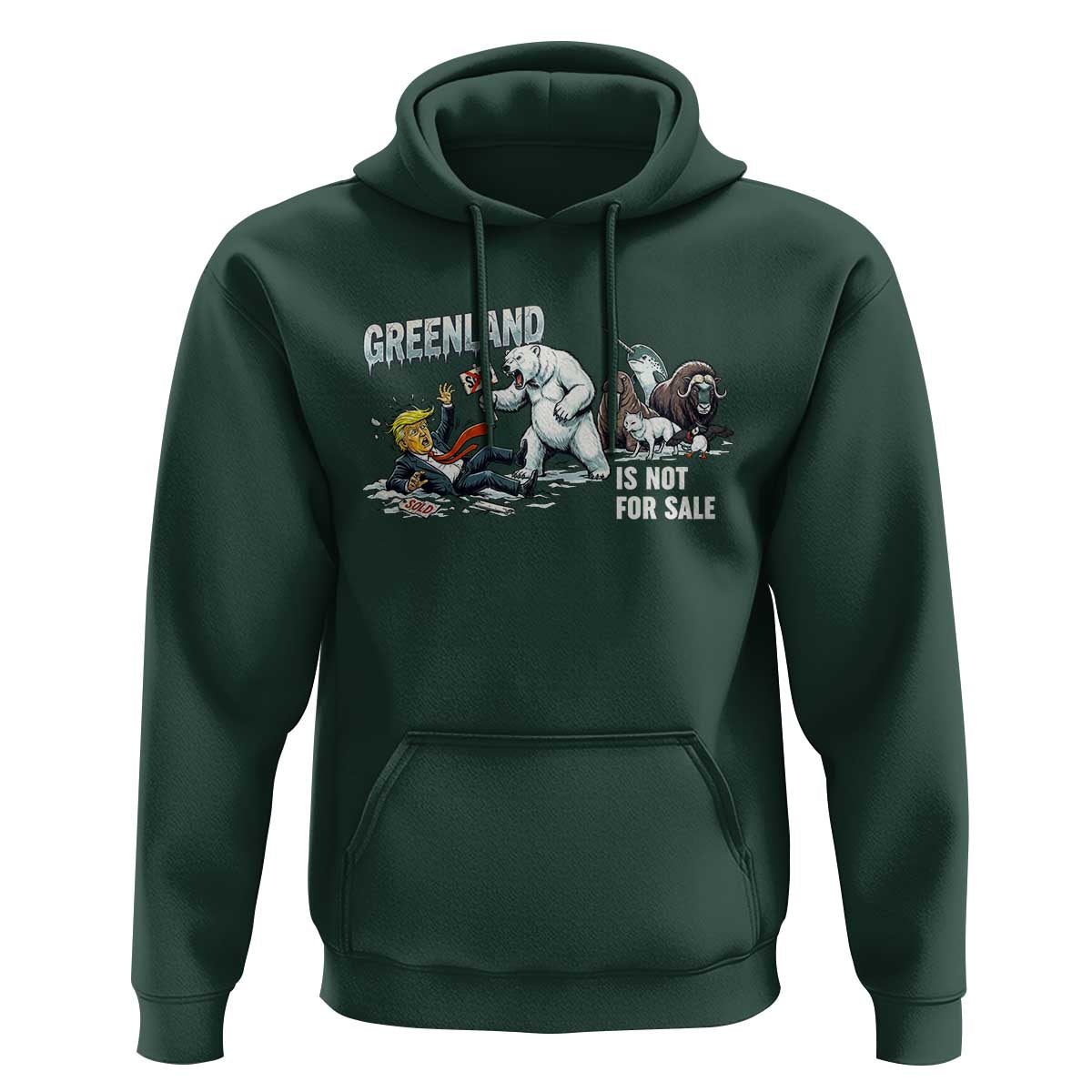Greenland Not For Sale Hoodie Political Humor Gift