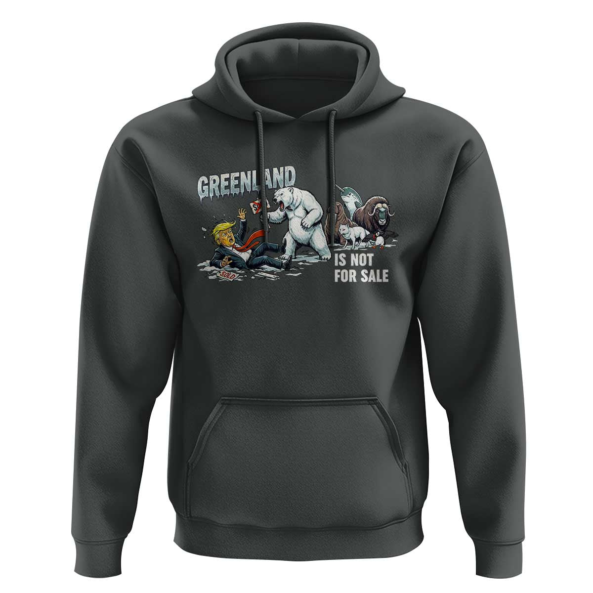 Greenland Not For Sale Hoodie Political Humor Gift