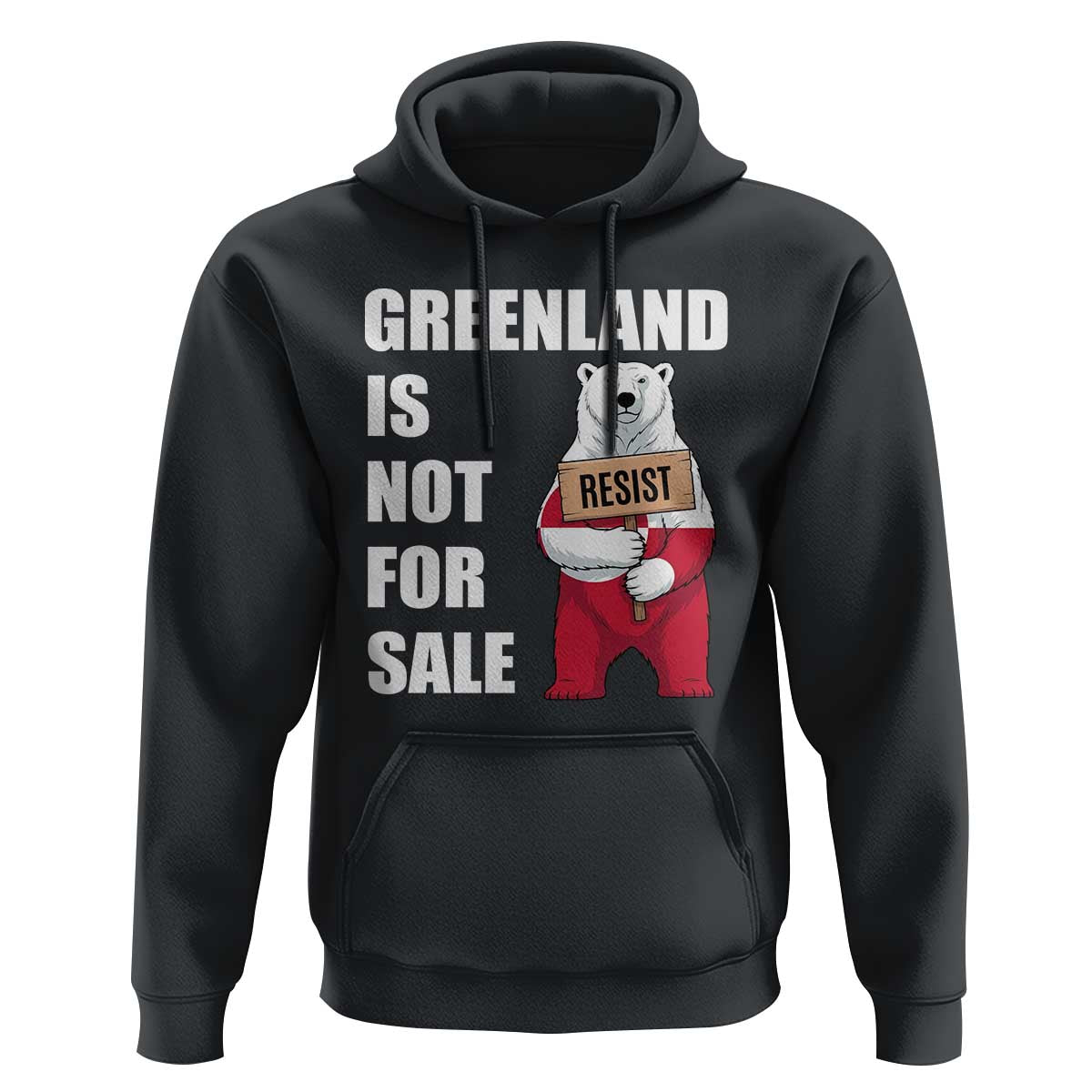 Greenland Not For Sale Hoodie Anti Authoritarian Political Gag Gift