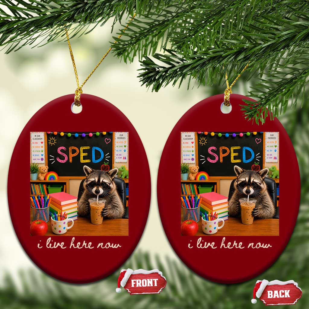 Funny SPED Raccoon Teacher Ceramic Ornament I Live Here Now
