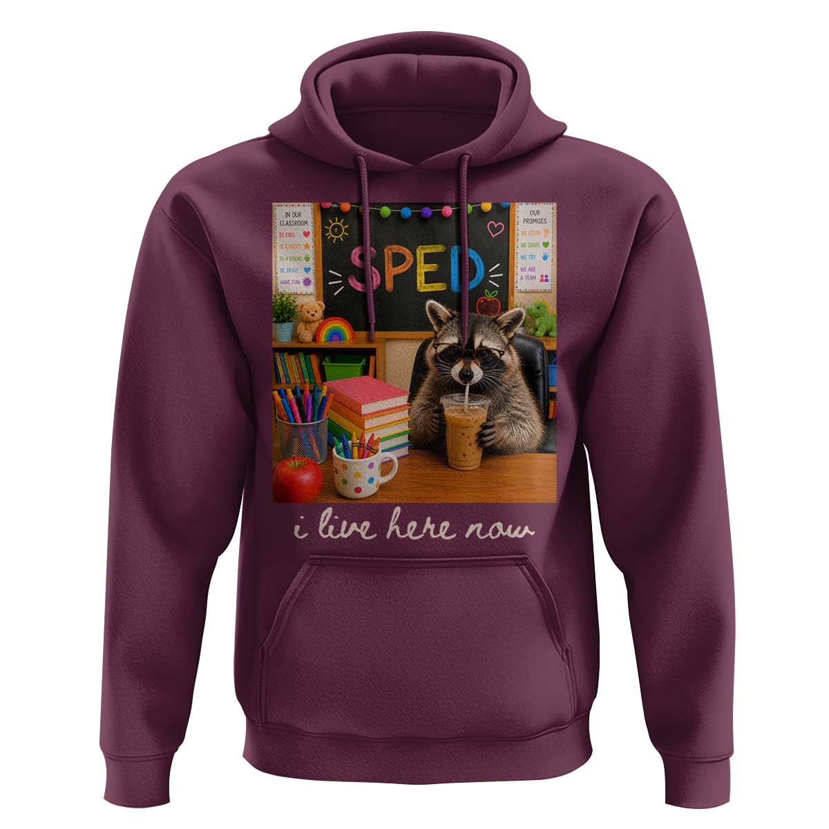 Funny SPED Raccoon Teacher Hoodie I Live Here Now