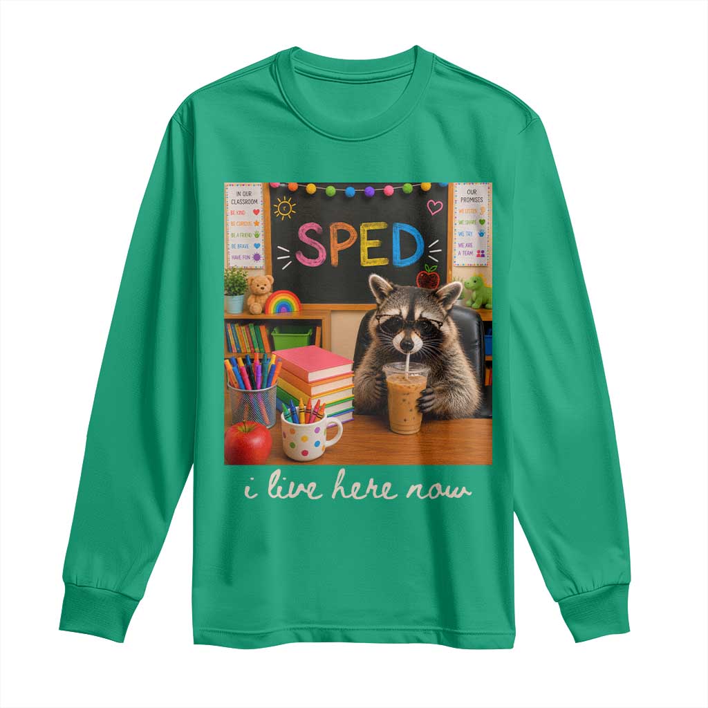 Funny SPED Raccoon Teacher Long Sleeve Shirt I Live Here Now